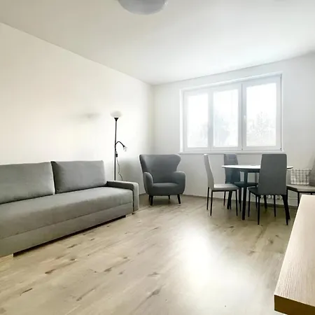 Big And Sunny With Great Acces To Center Apartment